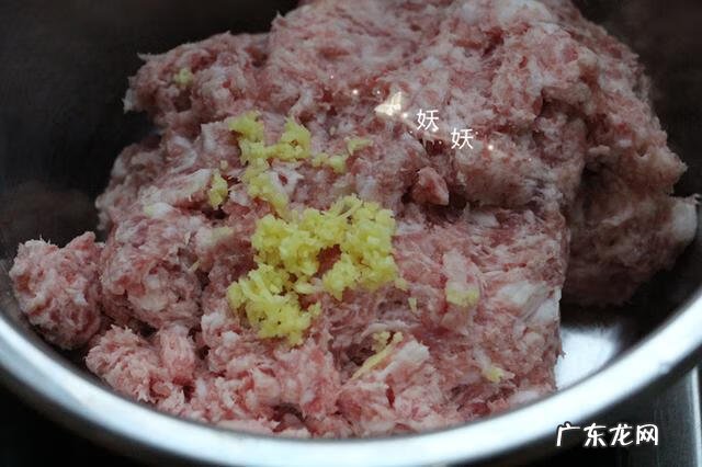 猪肉大葱馅饺子做法 猪肉大葱饺子馅用什么肉