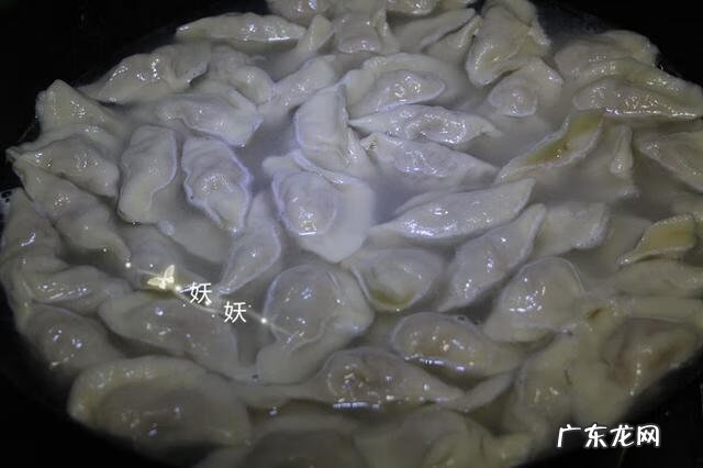 猪肉大葱馅饺子做法 猪肉大葱饺子馅用什么肉