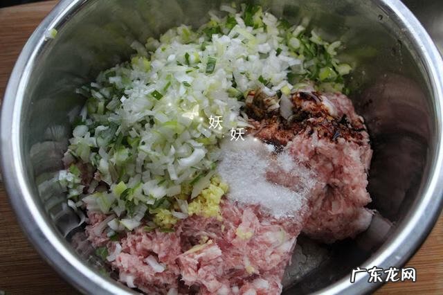猪肉大葱馅饺子做法 猪肉大葱饺子馅用什么肉