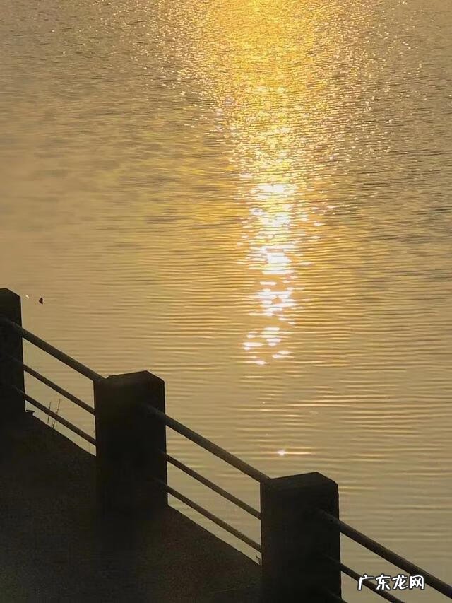 教师诗歌 赞美教师诗歌大全