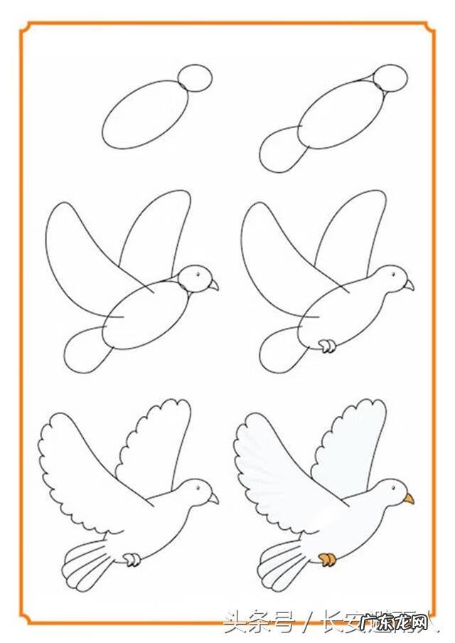 和平鸽怎么画简单 简易和平鸽怎么画