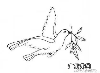 和平鸽怎么画简单 简易和平鸽怎么画