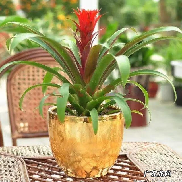 朝阳风水资料 朝阳园风水为什么好