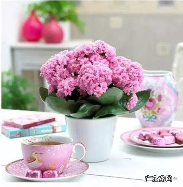 朝阳风水资料 朝阳园风水为什么好