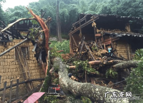 房前屋后栽竹子的风水 房前屋后种竹子影响风水吗?