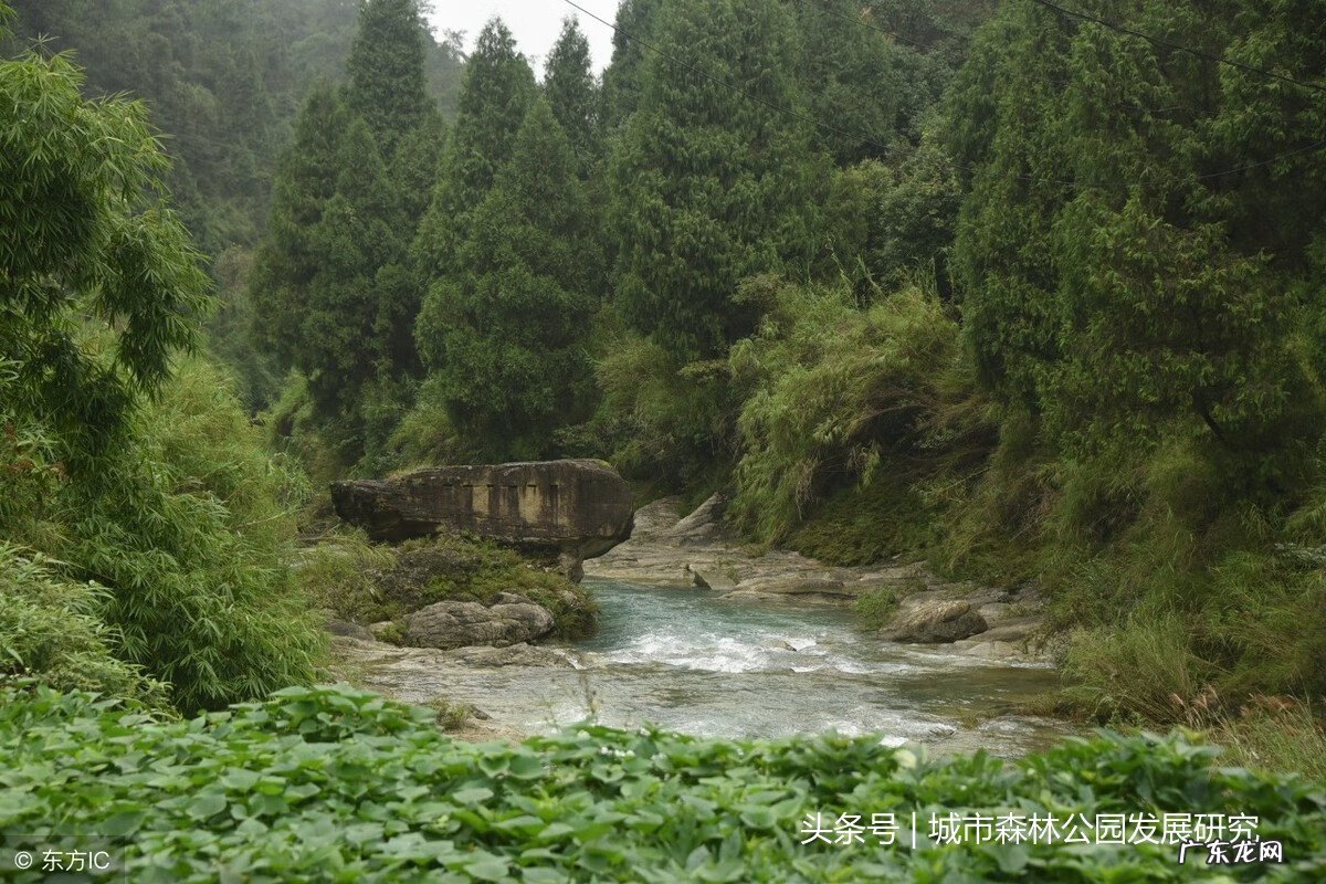 三江口风水学说 中国三溪口风水大师