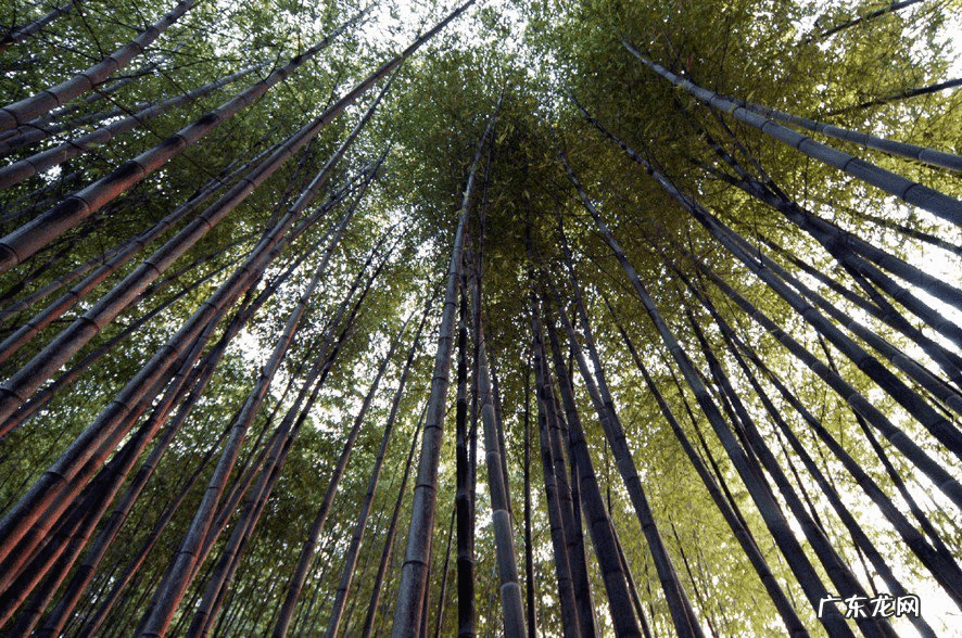 三江口风水学说 中国三溪口风水大师
