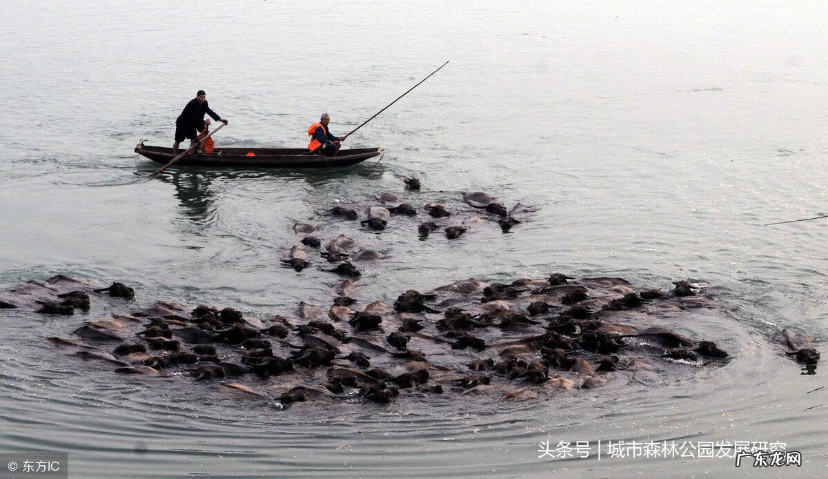 三江口风水学说 中国三溪口风水大师