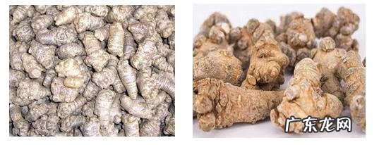 三七能长高的原因 为什么吃三七能长高呢