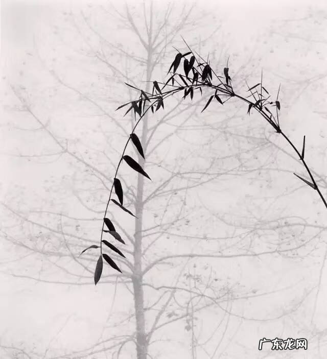 中国风水墨图片 中国风水墨画图片背景