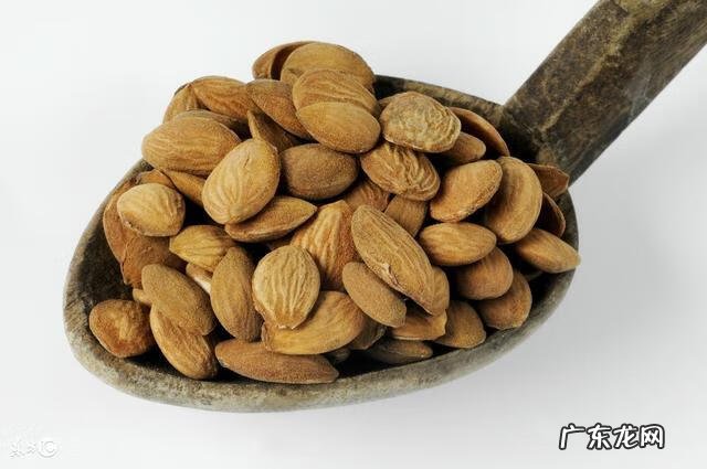 治疗痛风食疗 痛风的食疗法