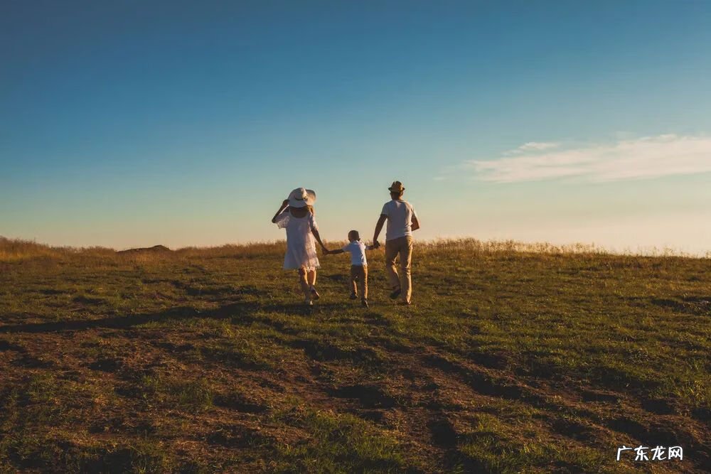 家居风水最好的一本书是什么 书香是一个家庭的上好风水