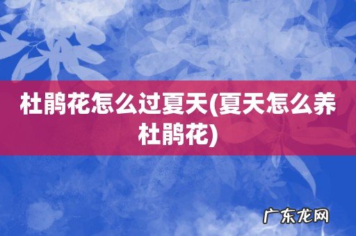 夏天怎么养杜鹃花 杜鹃花怎么过夏天