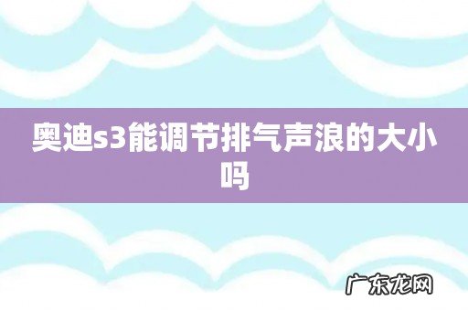 奥迪s3能调节排气声浪的大小吗