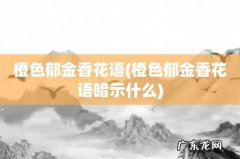 橙色郁金香花语暗示什么 橙色郁金香花语