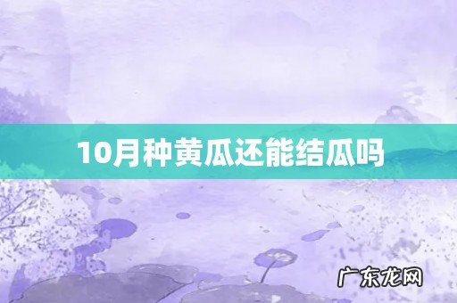 10月种黄瓜还能结瓜吗