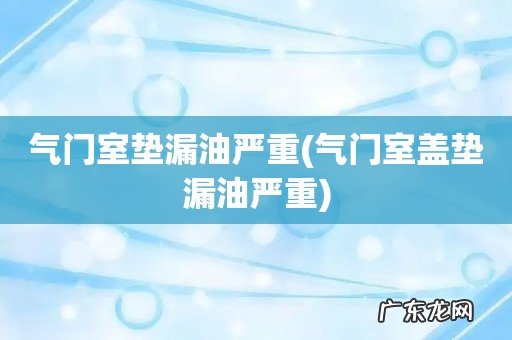 气门室盖垫漏油严重 气门室垫漏油严重