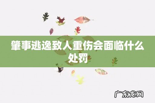 肇事逃逸致人重伤会面临什么处罚
