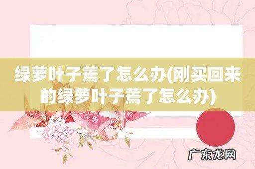 刚买回来的绿萝叶子蔫了怎么办 绿萝叶子蔫了怎么办