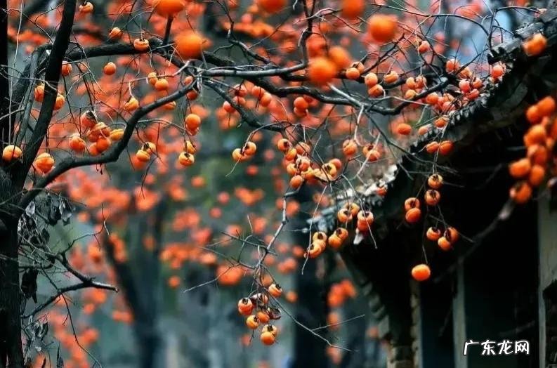 品德是最好的风水 人的品德是最好的风水大师