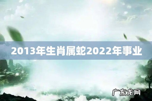 2013年生肖属蛇2022年事业
