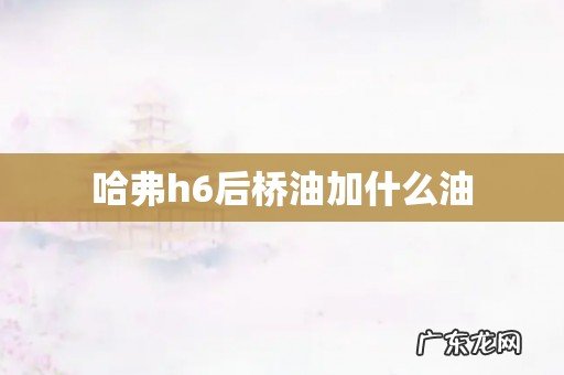 哈弗h6后桥油加什么油