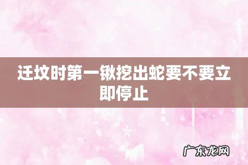 迁坟时第一锹挖出蛇要不要立即停止
