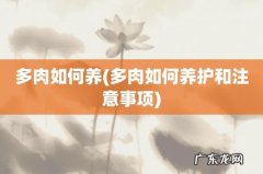 多肉如何养护和注意事项 多肉如何养