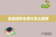 自动挡停车熄火怎么回事