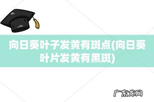 向日葵叶片发黄有黑斑 向日葵叶子发黄有斑点