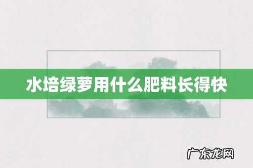 水培绿萝用什么肥料长得快