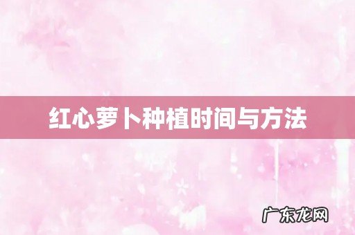 红心萝卜种植时间与方法