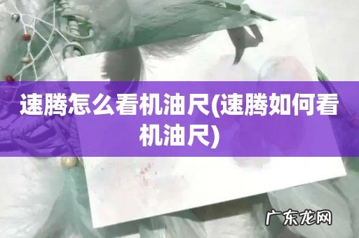 速腾如何看机油尺 速腾怎么看机油尺