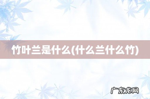 什么兰什么竹 竹叶兰是什么