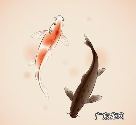 利于学业的风水 升学路上风水好