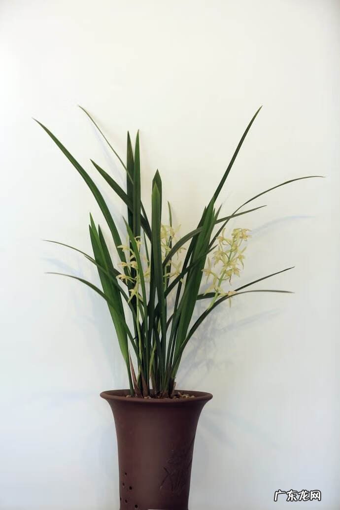 利于学业的风水 升学路上风水好