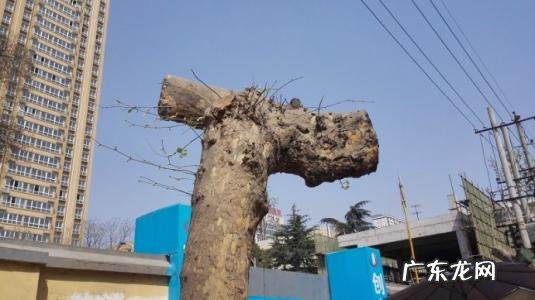 黄历如何看好不好 看风水用什么黄历最准