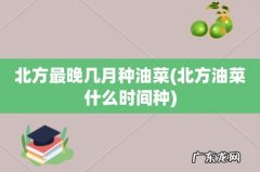 北方油菜什么时间种 北方最晚几月种油菜