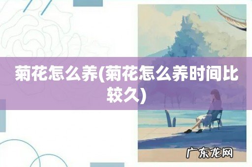 菊花怎么养时间比较久 菊花怎么养