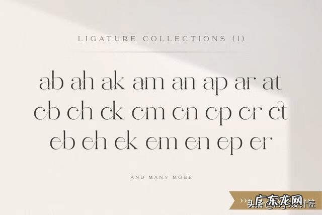 带有特殊寓意的英文名 特别的英文名字体