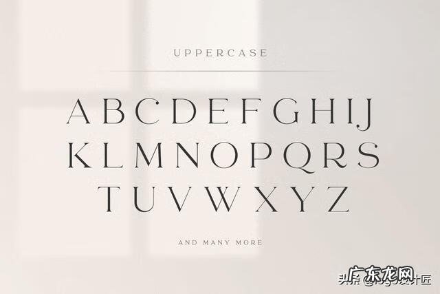 带有特殊寓意的英文名 特别的英文名字体