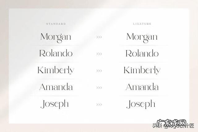 带有特殊寓意的英文名 特别的英文名字体