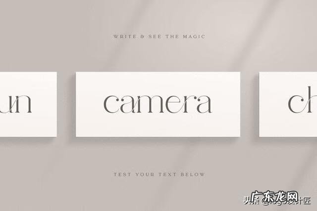 带有特殊寓意的英文名 特别的英文名字体