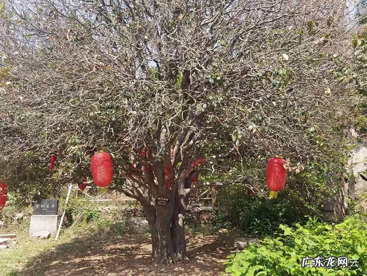 中国周易研究会 论坛 周易风水易学研究会会员