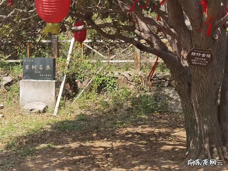中国周易研究会 论坛 周易风水易学研究会会员