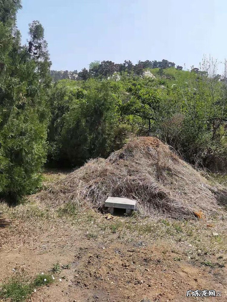 中国周易研究会 论坛 周易风水易学研究会会员