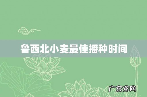 鲁西北小麦最佳播种时间