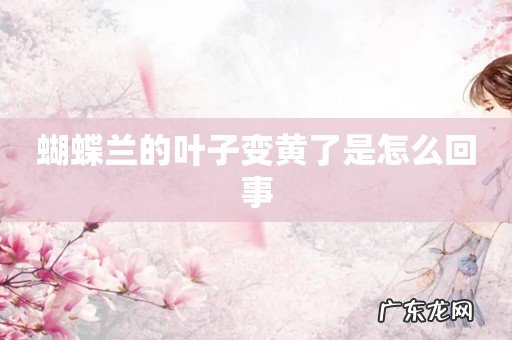 蝴蝶兰的叶子变黄了是怎么回事