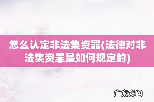 法律对非法集资罪是如何规定的 怎么认定非法集资罪