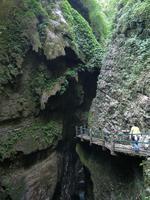 梵净山景点介绍 武陵梵净山风水好吗